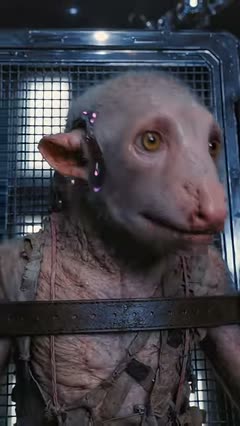 Hook in Rat Consciousness (Second Cycle of Humanity), shot 1