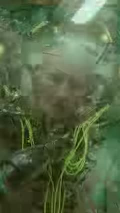 Middle in Murdering The Soul (The Second Cycle of Humanity), shot 16
